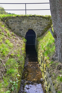 Großer Sumpfteich Buntenbock Oberharzer Wasserwirtschaft 925 Bilder